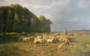 Stado owiec w krajobrazie